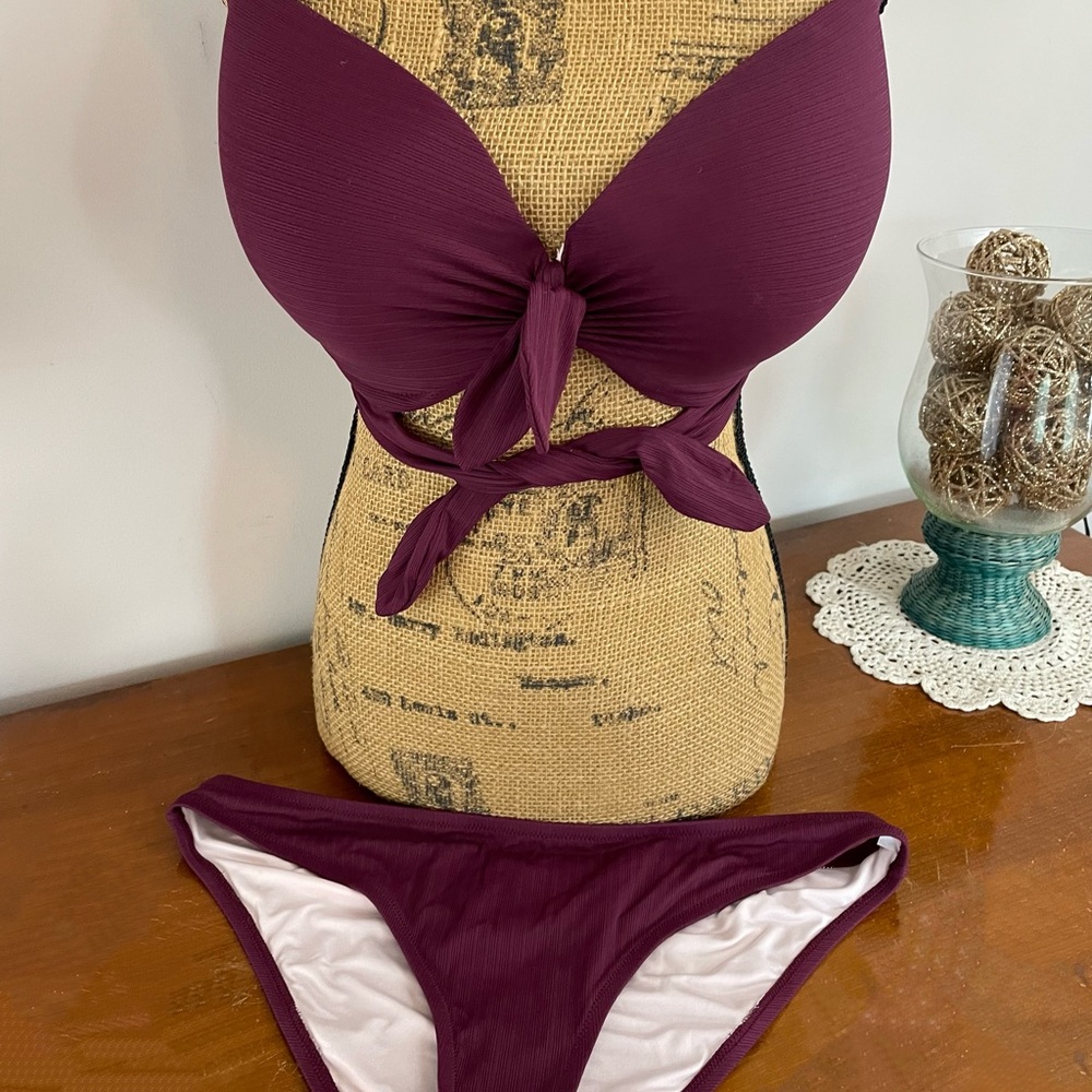 Beautiful maroon bikini